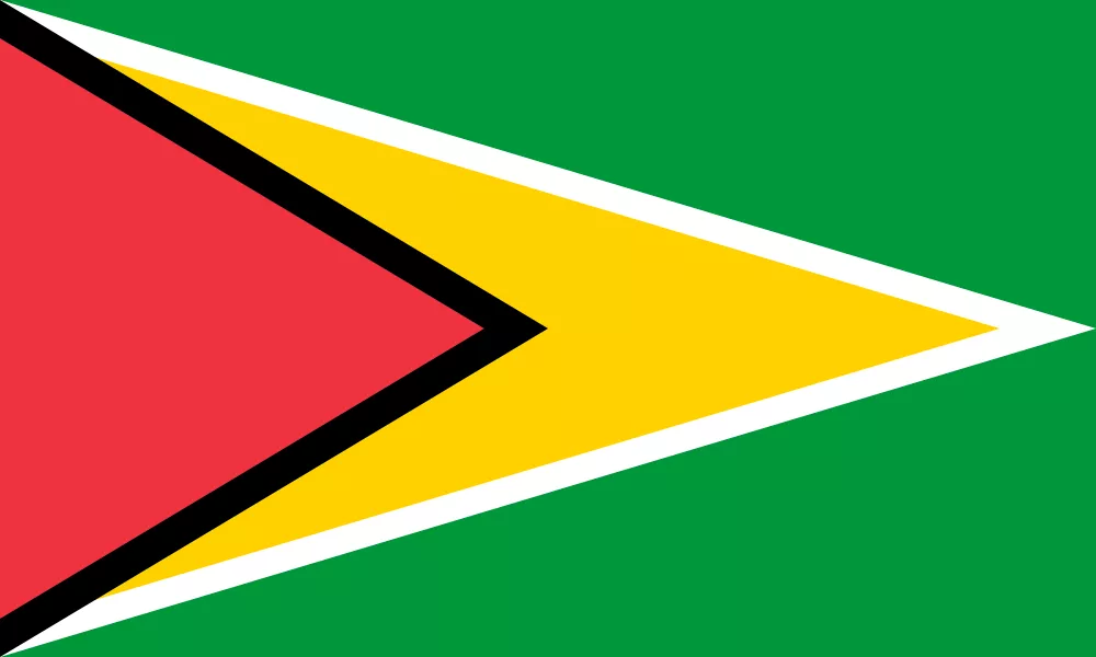 guyana flag